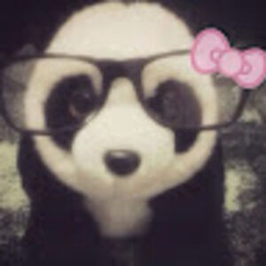 Meet your Posher, Yogirlbb